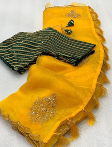 Celeb Styles Embroidered Bollywood Organza Saree