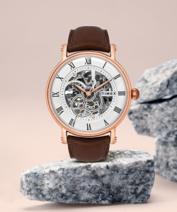 flipkart timex watches