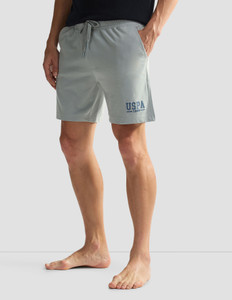 U.S. POLO ASSN. Solid Men Grey Casual Shorts
