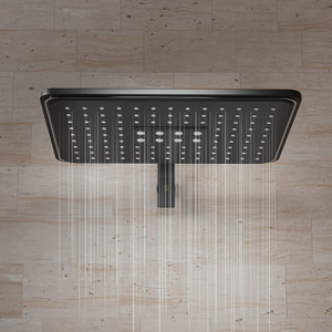 RN ABS SHOWER_7061_280x180MM शावर हैड