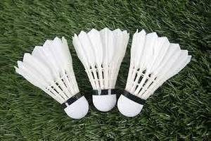 Ashvik Sports Victor Premium Quality Shuttle Cock Feather Shuttle - White  (Medium Fast, 78, Pack of 10)