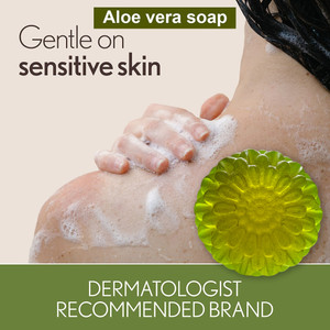TERIHAR Whitening Aloe Vera Soap with Skin Lightening Benefits for a Fairer  Complexion - Price in India, Buy TERIHAR Whitening Aloe Vera Soap with Skin  Lightening Benefits for a Fairer Complexion Online