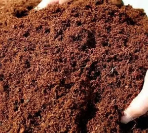 AMRUTAM COIR PRODUCTS COCOPEAT POWDER Potting Mixture