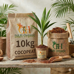dhorganic Cocopeat Loose Powder Potting Mixture
