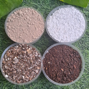 Plantsab bio Neem Cake 501gm, Perlite 101gm, Bone Meal 501gm or Vermiculite 500gm Potting Mixture, Manure, Soil