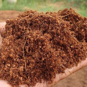 Flipkart SmartBuy powder Cocopeat Potting Mixture