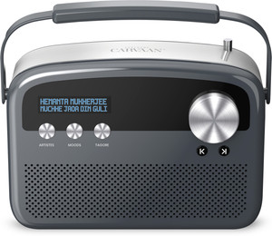 SAREGAMA Bengali with 3000 pre-loaded songs 20 W Bluetooth Party Speaker
