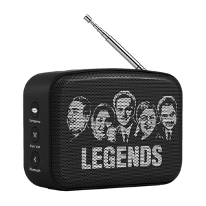 SAREGAMA Carvaan Mini Hindi 5 W Bluetooth Speaker