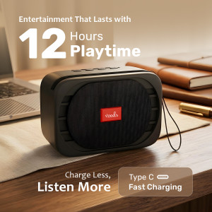 Voods V Smart - Active 8 W Bluetooth Speaker