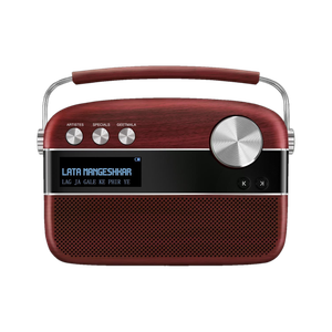SAREGAMA Carvaan Premium Hindi 10 W Bluetooth Speaker