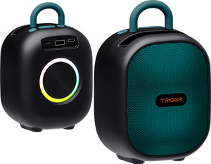 TRIGGR Puls8 Portable , V5.3, FM Mode, Rubber Finish, 8 Hr Playtime 10 W Bluetooth Speaker