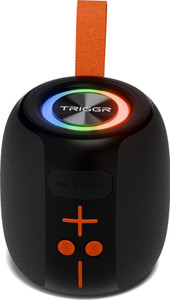 TRIGGR Roar 8 with RGB Lights, Fabric Exterior, TWS & FM Mode, 12H Playtime, BT v5.4 8 W Bluetooth Speaker