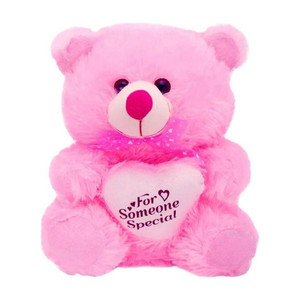 Kiddietown STUFF TEDDY BEAR WITH HEART (SOMEONE SPECIAL) SITTING/ GIFT FOR GIRLFRIEND/ GIFT FOR SOMEONE SPECIAL/VALENTINES DAY GIFT/ BIRTHDAY GIFT/ ANNIVERSARY GIFT  - 60 cm