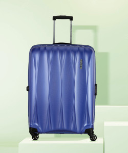 Trolley bags price below 800 2025