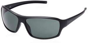 Fastrack Aviator Sunglasses