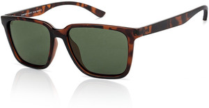 VINCENT CHASE by Lenskart Wayfarer Sunglasses