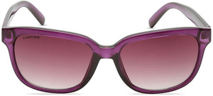 Fastrack Wayfarer Sunglasses