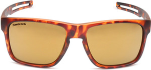 Fastrack Wayfarer Sunglasses