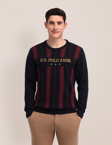 U.S. POLO ASSN. Striped Crew Neck Casual Men Blue Sweater