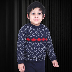 GTwo Printed Round Neck Casual Boys Blue Sweater