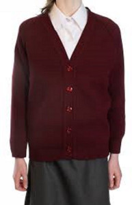 PK Collection Solid V Neck Formal Girls Maroon Sweater