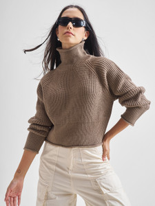 Tokyo Talkies Solid High Neck Casual Women Brown Sweater