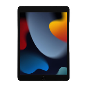 Apple iPad (9th Gen) 64 GB ROM 10.2 inch with Wi-Fi Only A13 Bionic Chip (Space Grey)