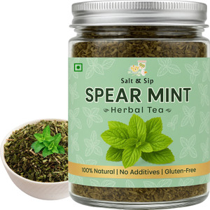 Salt & Sip Spearmint Leaves Tea, PCOS, PCOD Relief, Weight Loss & Balance Hormone | Herbal Tea Plastic Bottle