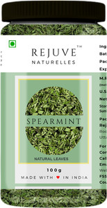 Rejuve Naturelles Premium Spearmint Leaves for Tea | Freshly Packed, PCOS,PCOD Care Mint Infusion Tea Plastic Bottle