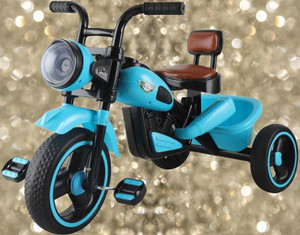 DUGGI MUGGI 50 kg Torque Tricycle - Image 1