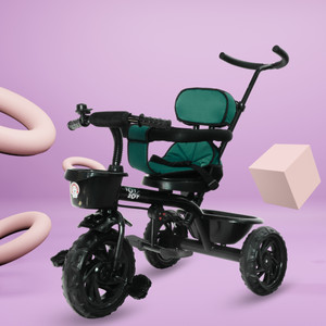 Toyzoy Maple Grand Kids Tricycle with Parental Handle|Ages 24to60 Months|Carrying 40Kgs TZ531 Tricycle