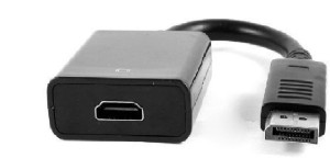 TERABYTE  TV-out Cable Display Port (Not USB) to HDMI Adapter DP to HDMI Converter Male to Female
