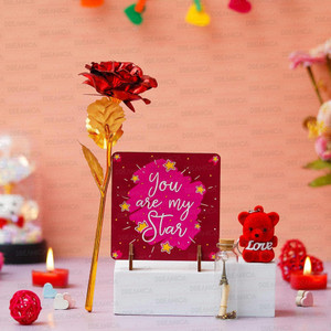 Dreamica Artificial Flower, Showpiece, Keychain, Message Pills Gift Set