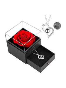 SANGOZ Preserved Flower Rose Necklace - Image 1