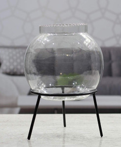 seaqua FISH BOWL WITH ANGLE STAND 6" Glass Vase