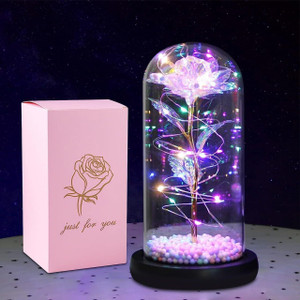 Everglow Lamp Gift Set