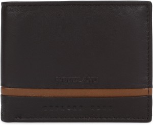 WOODLAND Men Casual Brown Genuine Leather Wallet