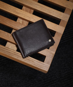 Allen Solly Men Brown Genuine Leather Wallet