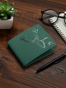 PROVOGUE Men Casual, Ethnic, Formal, Travel, Trendy Green Artificial Leather Wallet