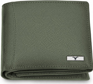 SKINBULL Men Casual, Formal Green Genuine Leather Wallet