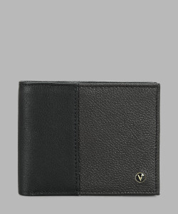 VAN HEUSEN Men Multicolor Genuine Leather Wallet