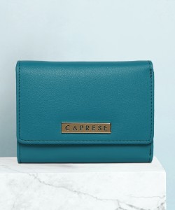 Caprese Women Casual Blue Artificial Leather Wallet