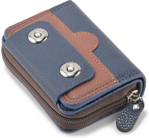 BE DIVINE Men & Women Casual Blue Artificial Leather Card Holder