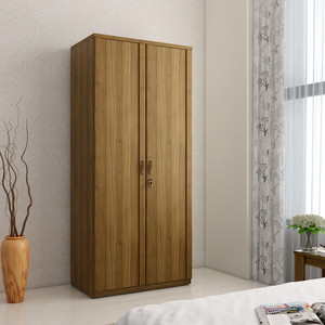 SPACEWOOD Engineered Wood 2 Door Wardrobe