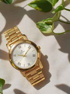 Titan Titan Silver Dial Gold Stainless Steel Strap Analog Watch  - For Men