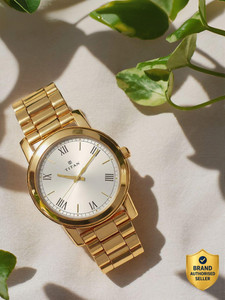 Titan Titan Silver Dial Gold Stainless Steel Strap Analog Watch  - For Men