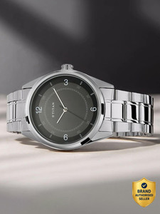 Titan NP1729SM03 Titan Workwear Dark Grey & Anthracite Dial Silver MetalStrap Analog Watch  - For Men