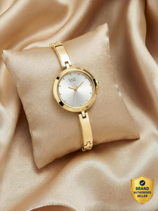 Titan NP2606YM04 Titan Raga Viva Silver Dial Gold Metal Strap Analog Watch - For Women