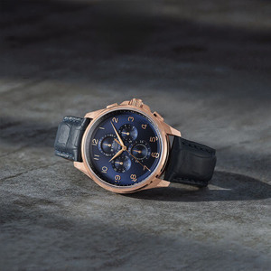 Titan Analog Watch  - For Men