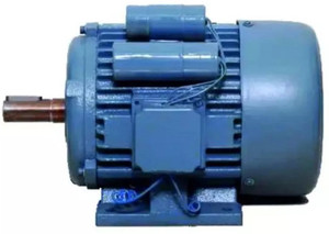 PowerHouse Single Phase 2 HP 4 Pole Foot Mounted Induction Motor ...
